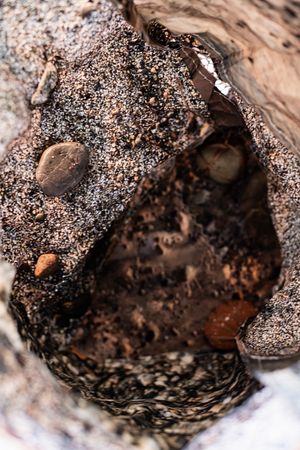 Close-up of a rocky crevice filled with small pebbles, sand, and shells in shades of brown and gray.