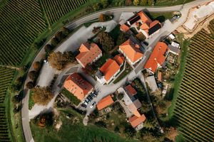 Aerial drone view of a charming European winery estate with orange-roofed buildings surrounded by lush green vineyards.