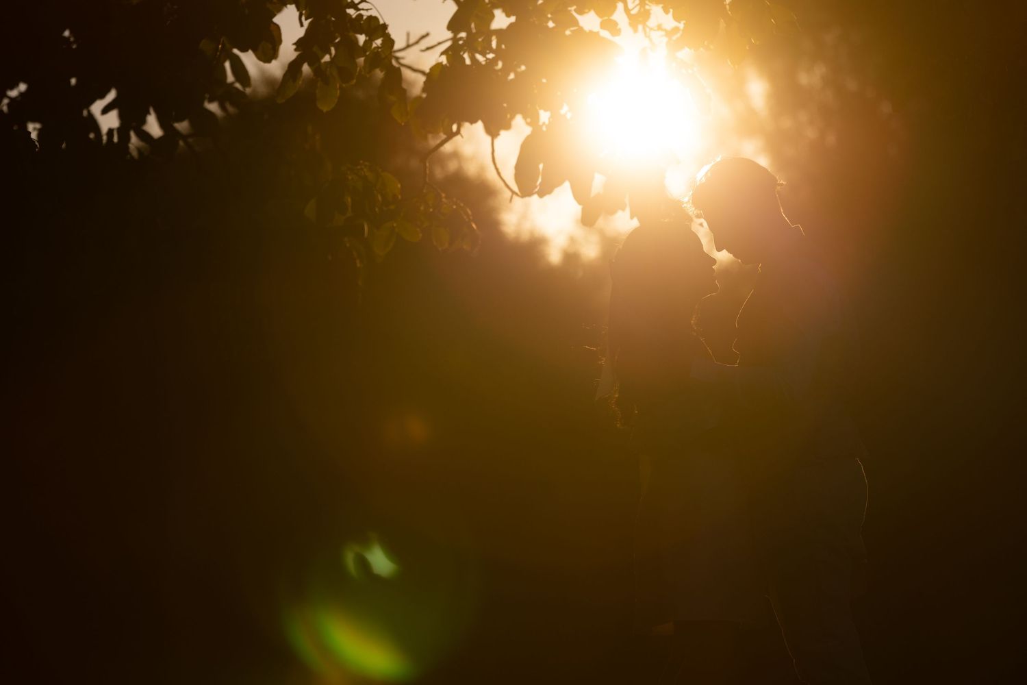 Silhouetted couple sharing a romantic moment backlit by golden sunset light filtering through lush green tree leaves.