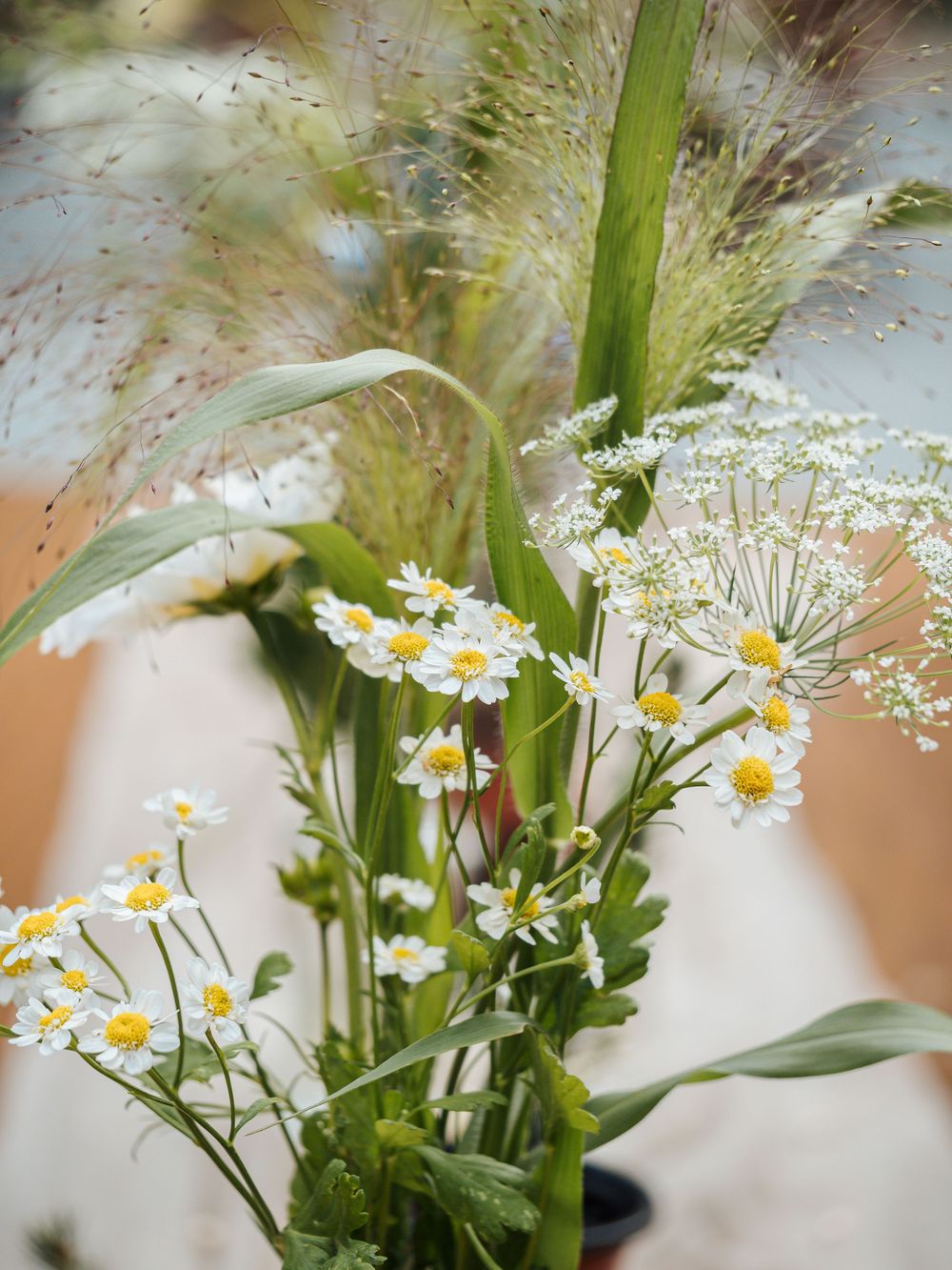 Wild daisy bouquet with white chamomile flowers, Queen Anne's lace, and ornamental grasses in a rustic arrangement. wedding reception decor
