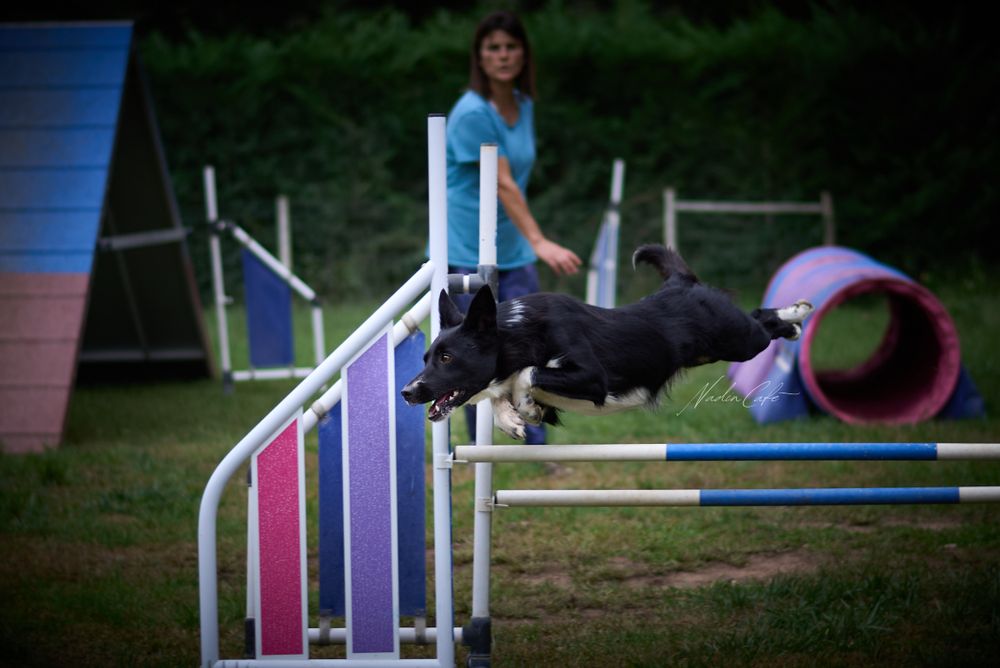 Tiree in action