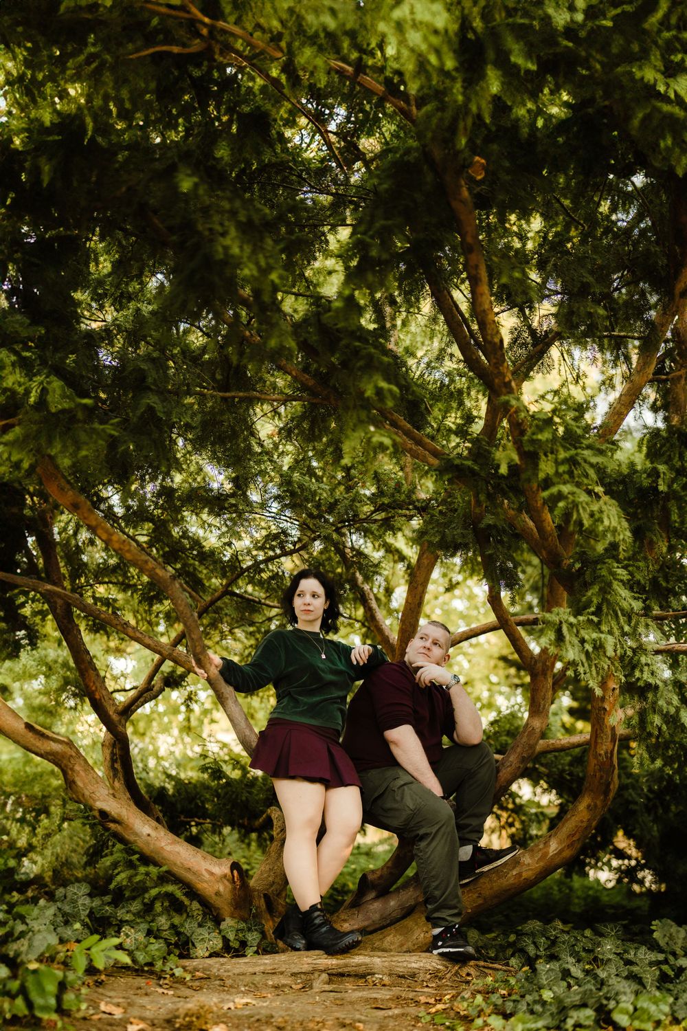 Two people posing playfully in a large tree with lush green foliage.