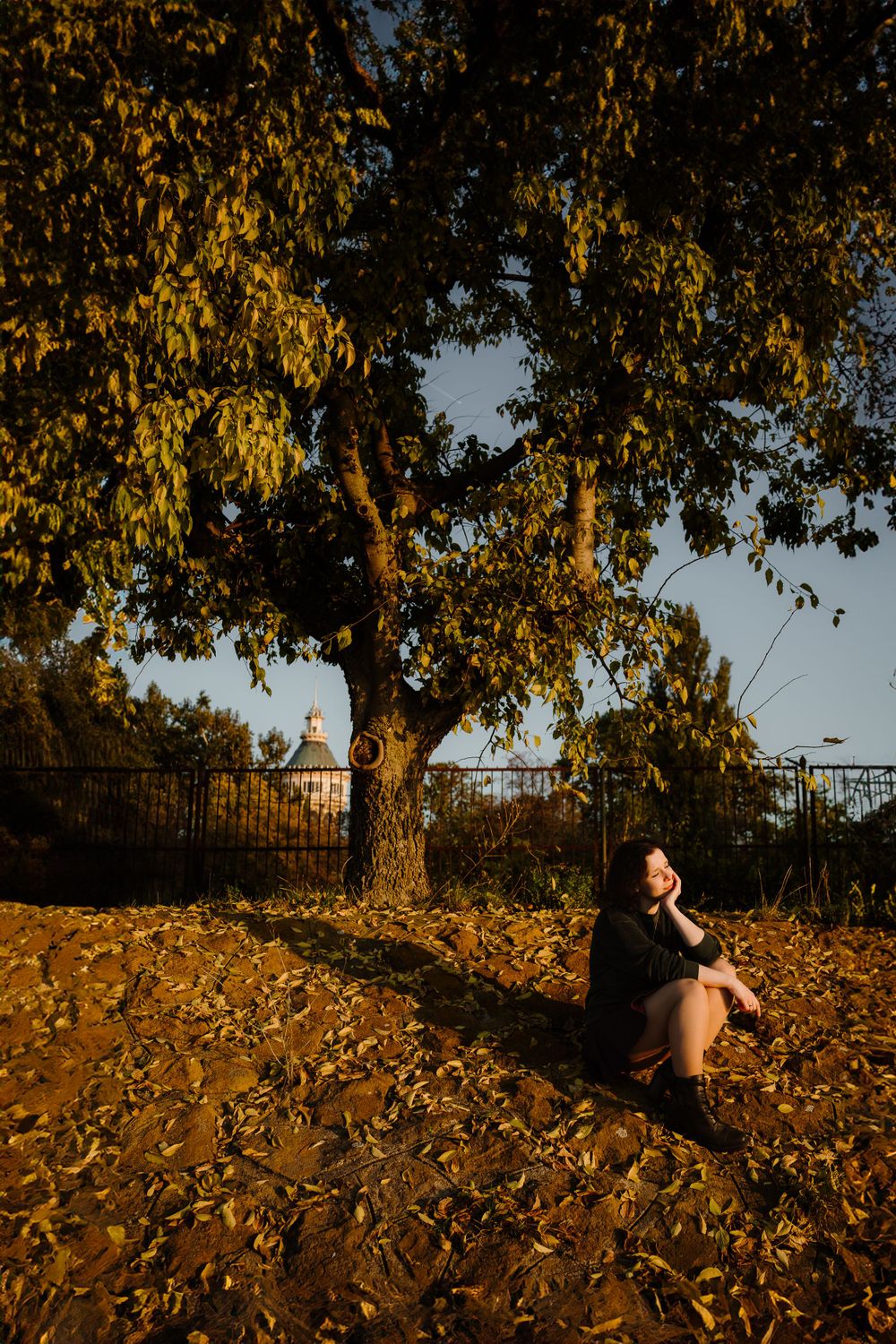 Someone sitting under an autumn tree during golden hour surrounded by fallen leaves.