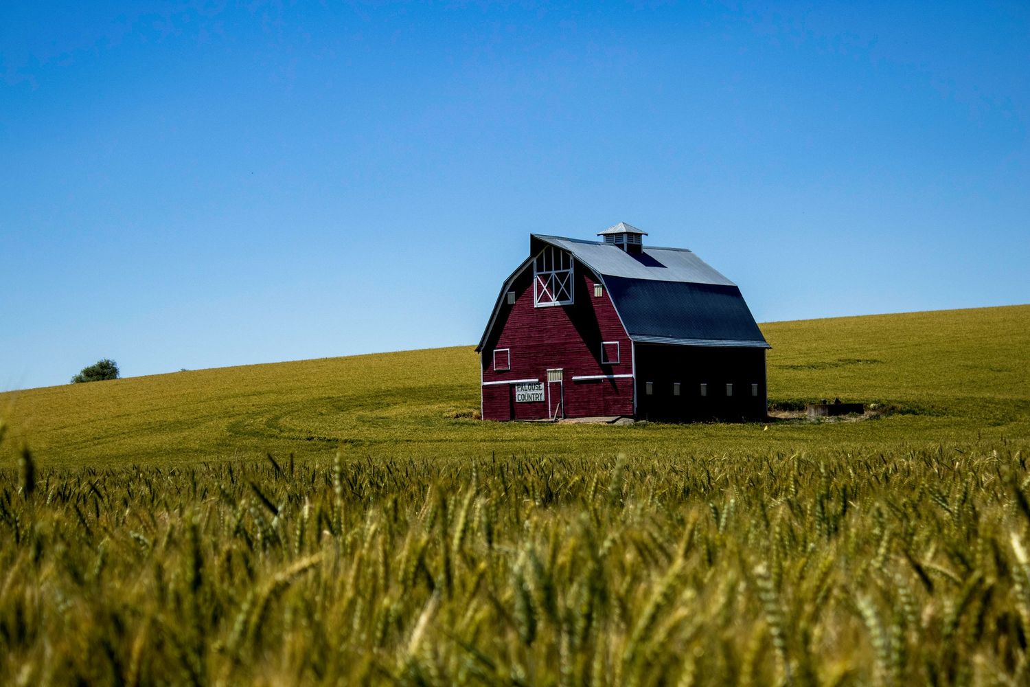 Red barn in the beautiful Palouse fields.