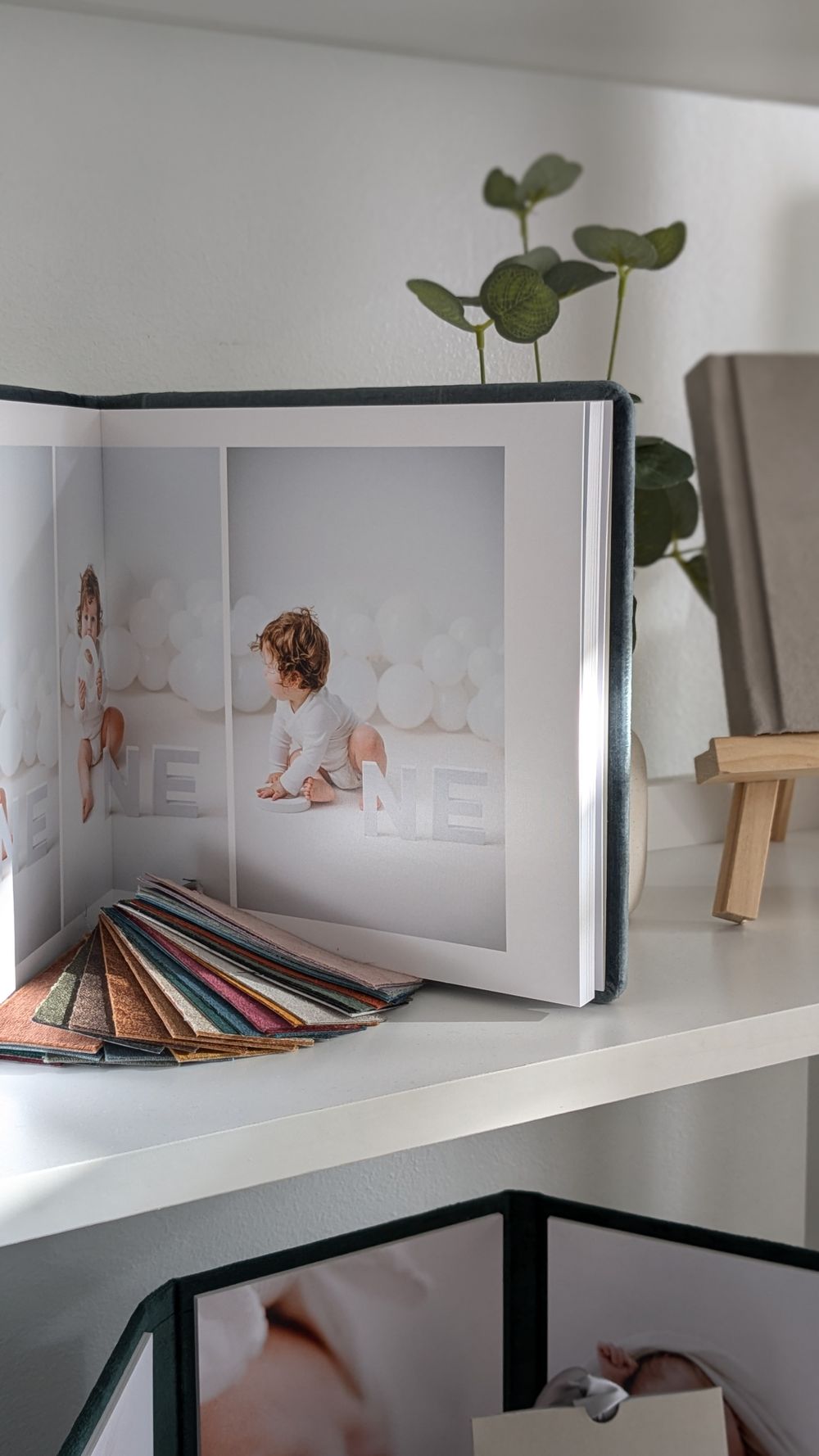 A photo album displaying professional portraits sits on a white shelf with a small potted plant in the background.