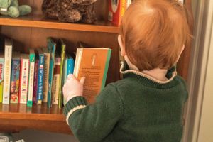 Back view of someone in a green sweater browsing books on a wooden bookshelf.