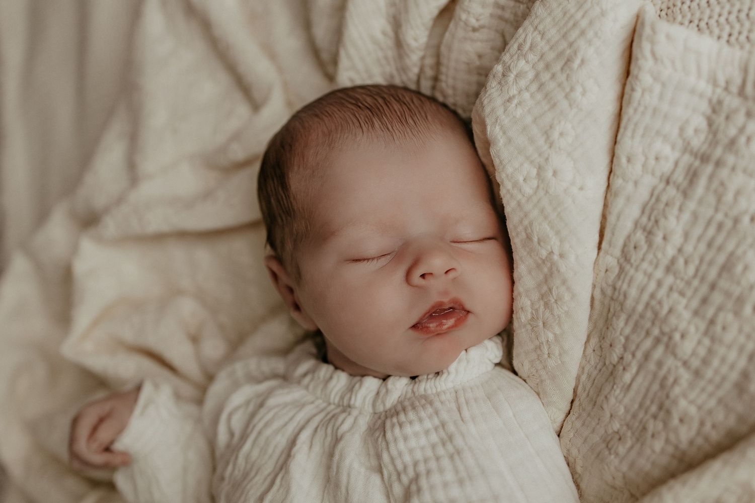 newbornshoot friesland