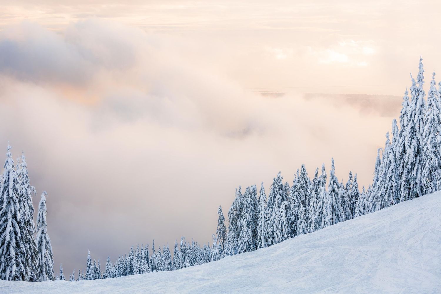 Nort Vancouver, Cypress