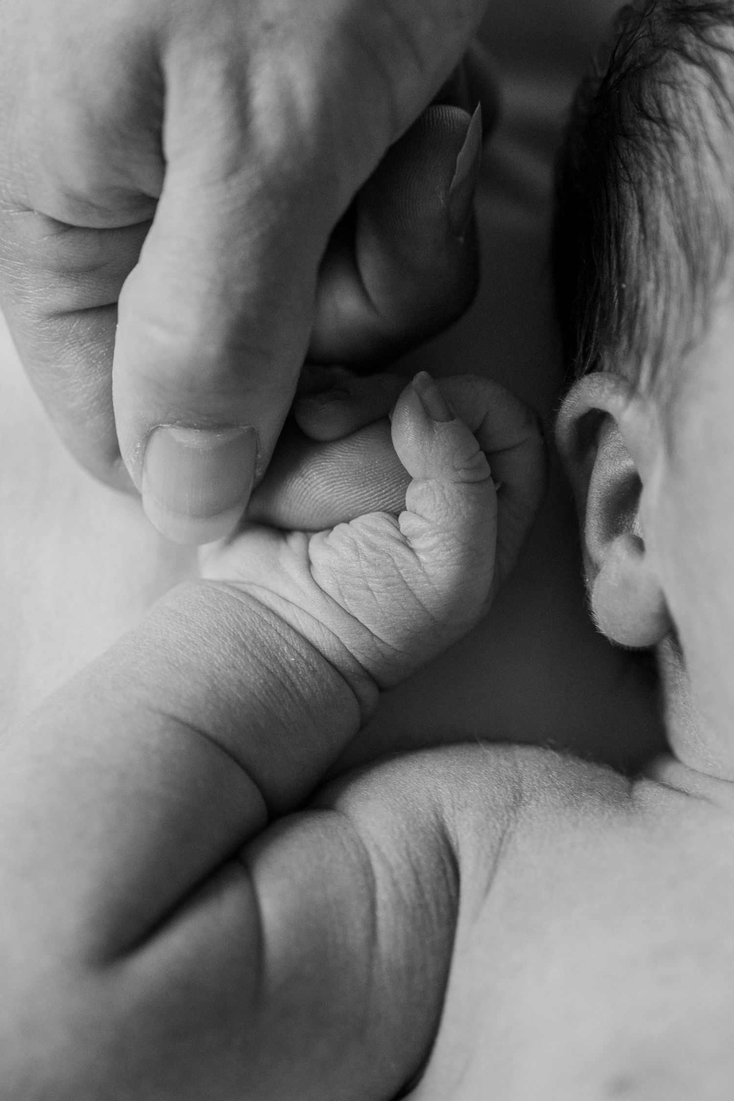 Black and white photo of a newborn baby's tiny hand grasping an adult's finger, with baby's ear visible. UPMC Magee Fresh48 Session
