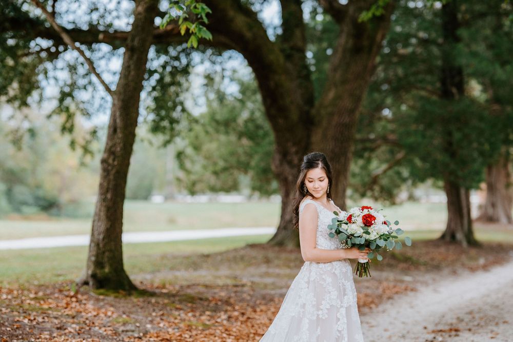 A bride in a white lace dress holds a colorful bouquet while standing under a large tree on a path covered in fall leaves.
