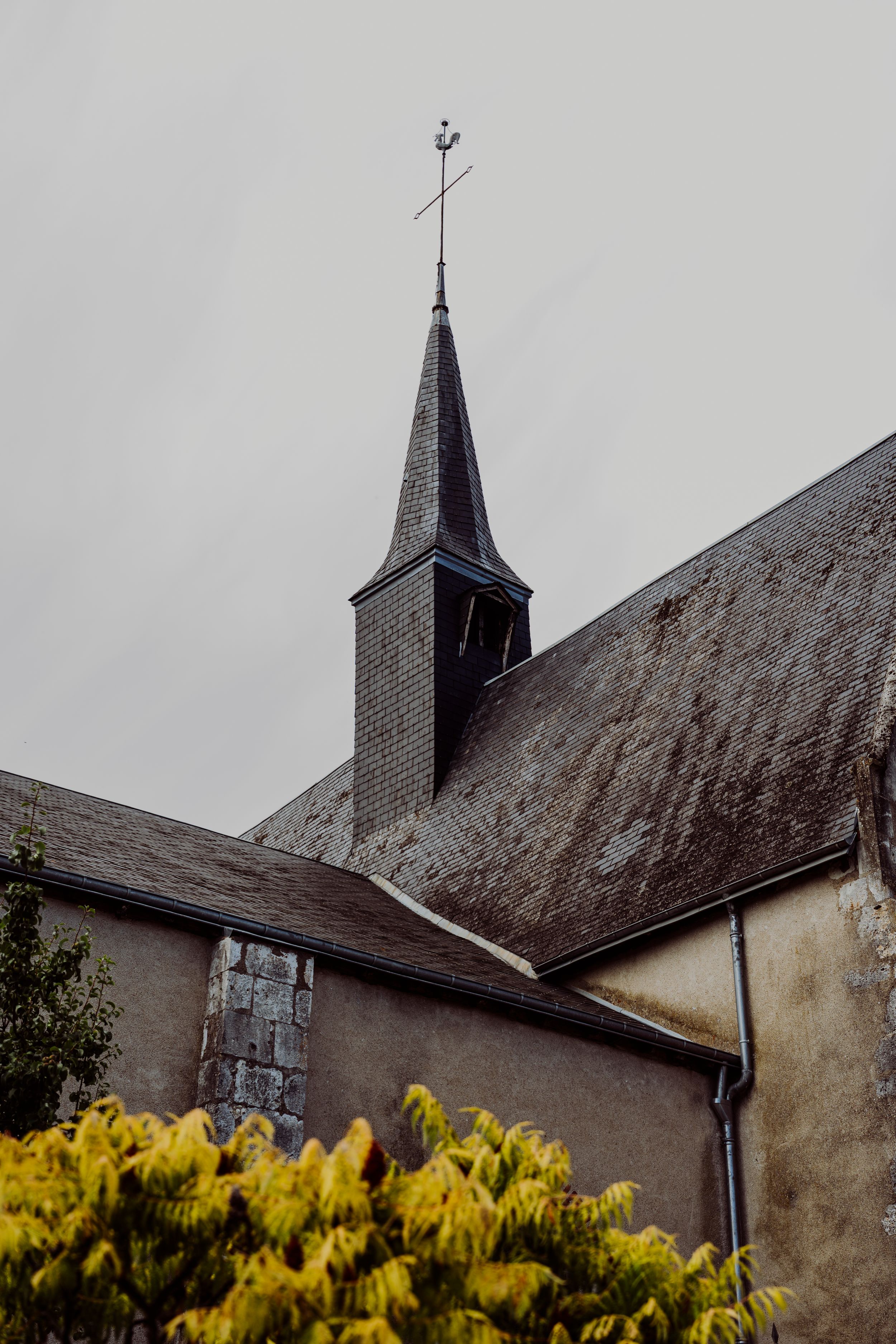 Gothic church spires rise against a cloudy sky with yellow forsythia bushes in the foreground.