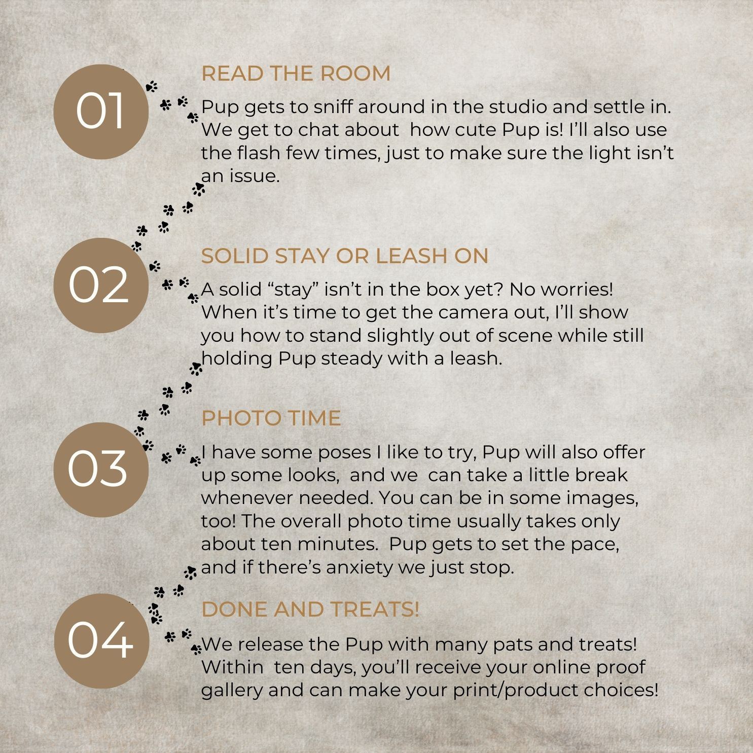 A graphic with four numbered steps explains how the in studio dog photo sessions work.