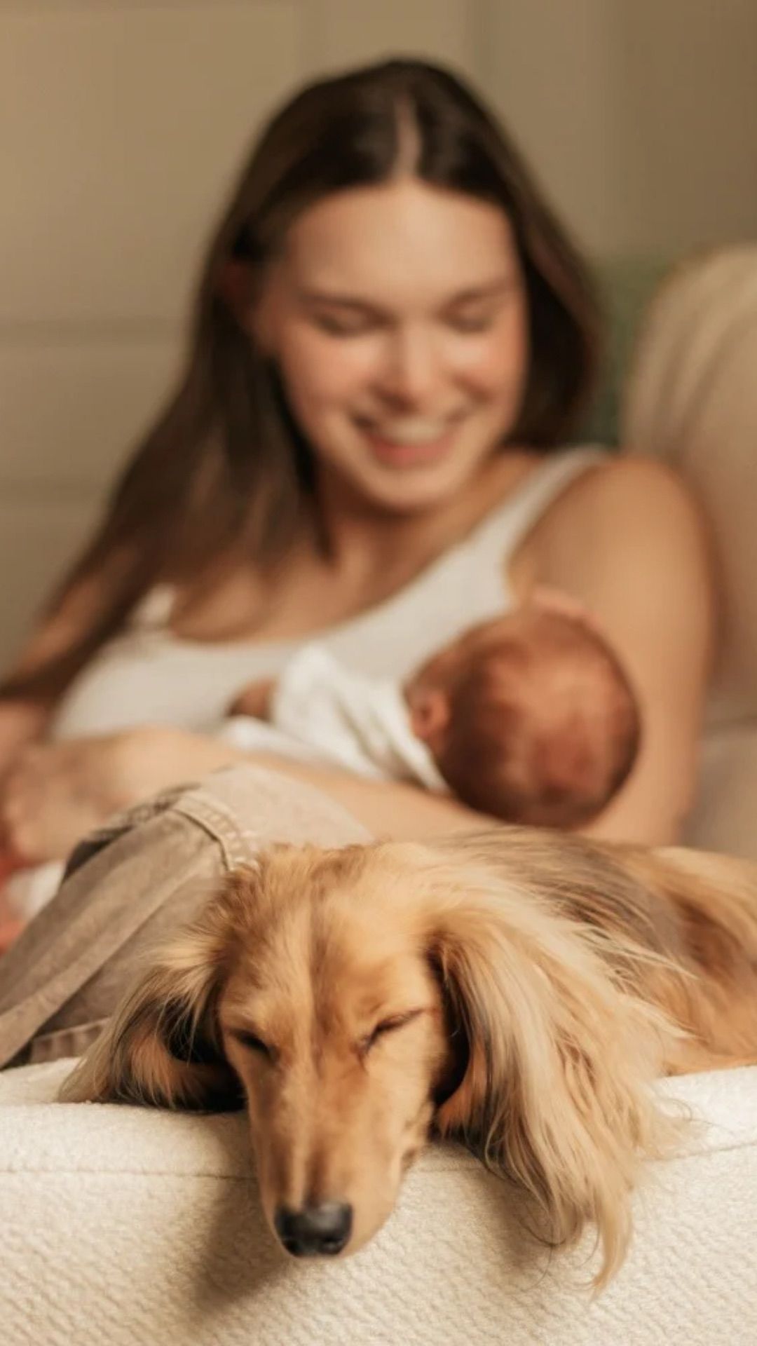 A golden dachshund sleeps on a couch while a smiling young woman holds a newborn baby in the background.