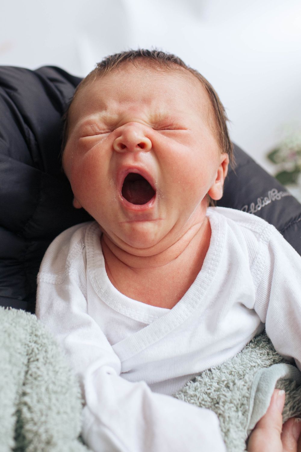 A newborn baby yawns during a natural light newborn photo session in Everett WA