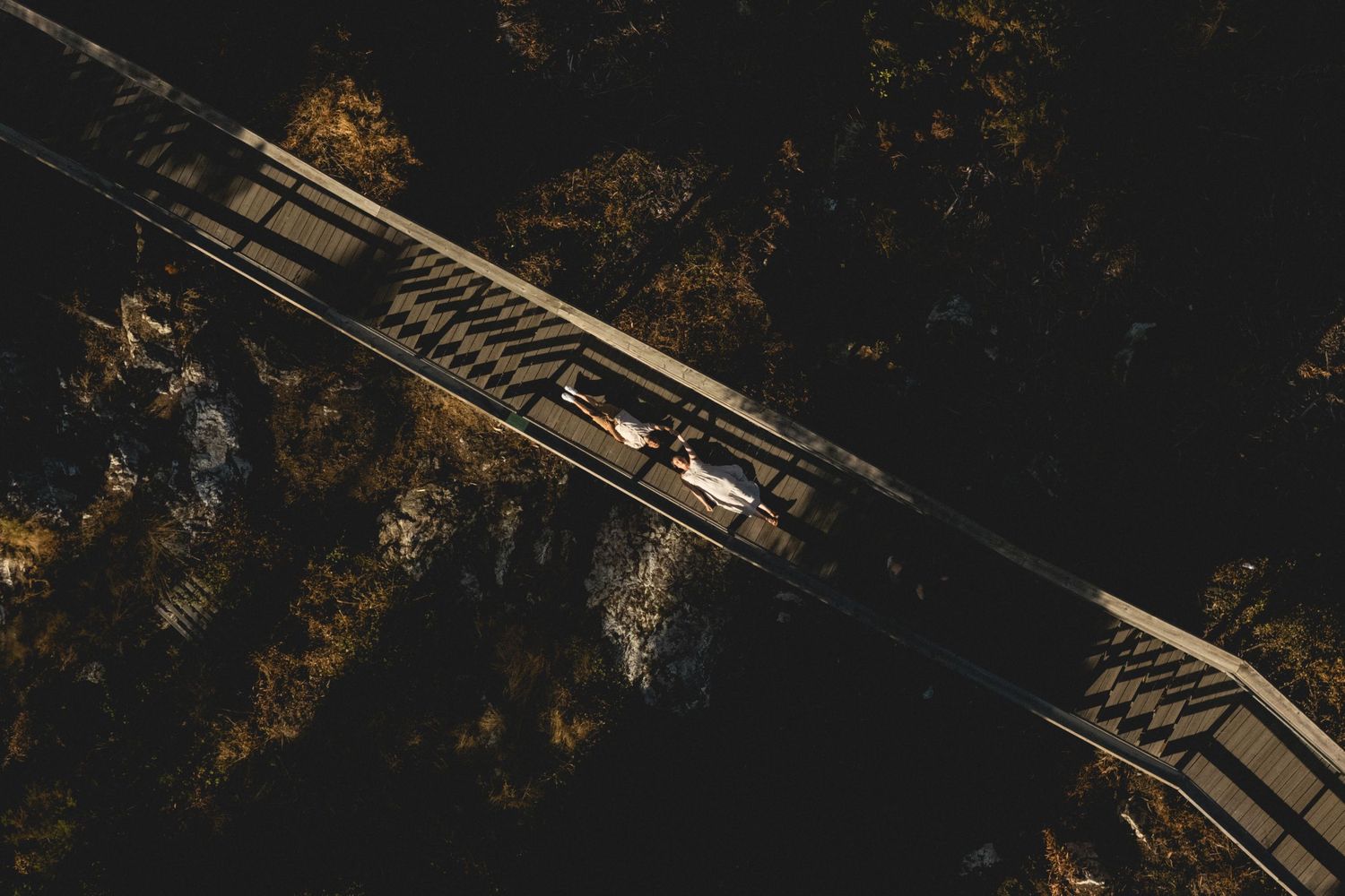 Aerial view of a train crossing a railway bridge surrounded by autumn trees in a dark moody forest setting.