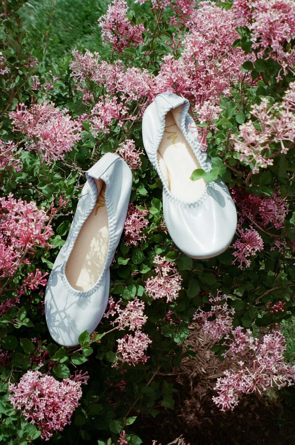 White ballet flats resting among pink lilac blooms and green foliage in a garden setting.