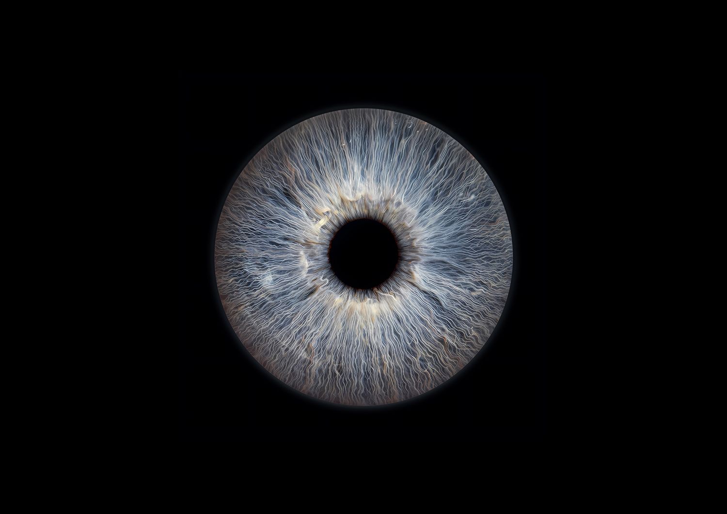 Extreme macro photography sequence showing a blue human iris gradually zooming out from close-up detail.