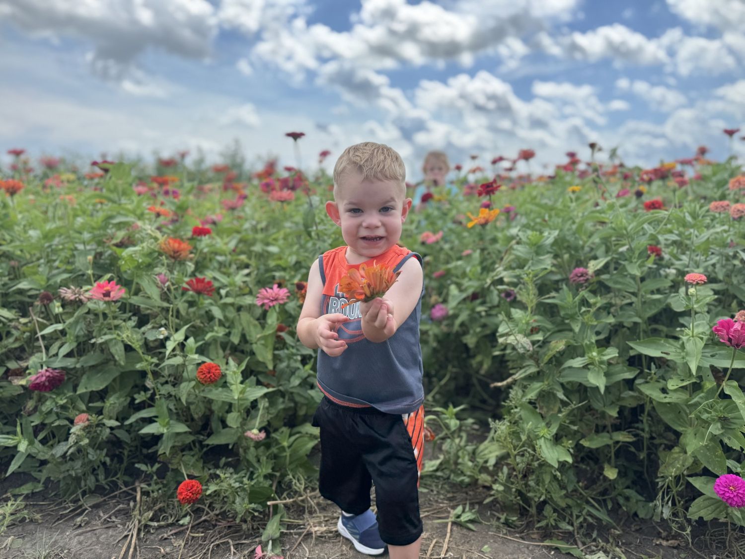Springfield, IL Photographer shares her past year