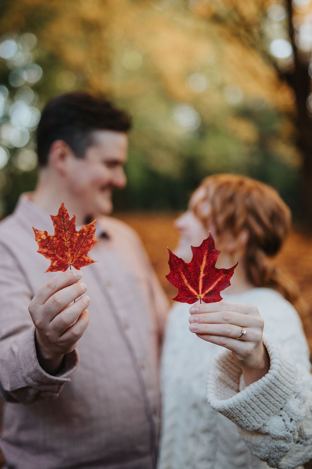 Hands holding vibrant red maple leaves against a blurred autumn background with golden bokeh.
