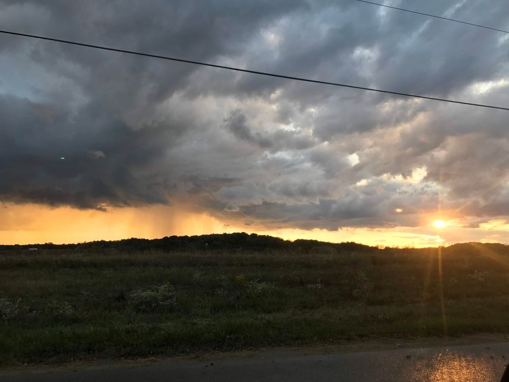 sun & rain