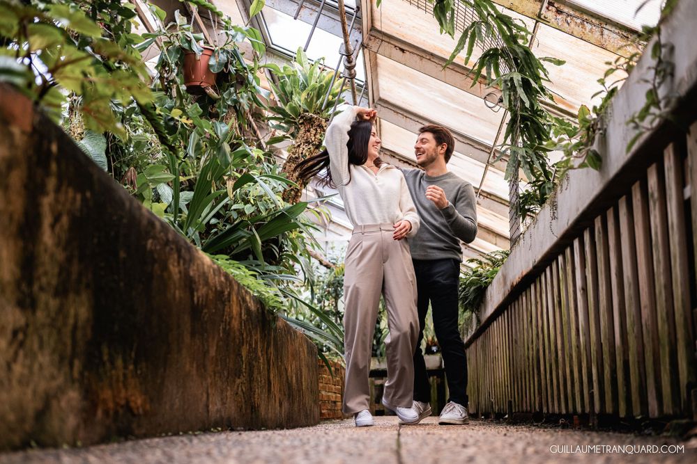 Rustic wooden staircase surrounded by tropical plants in a greenhouse setting.