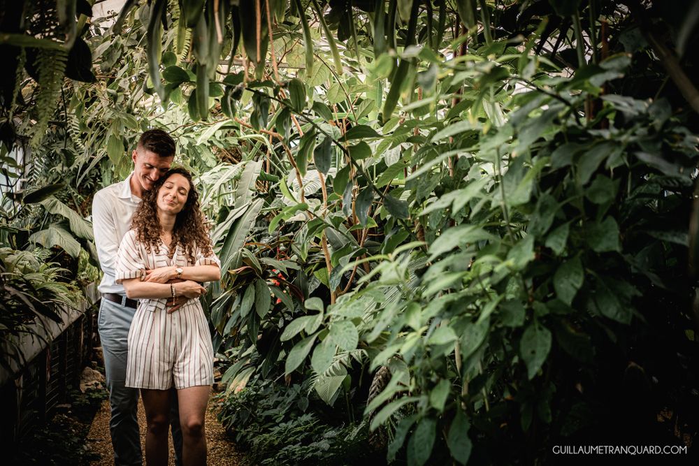 Artistic greenhouse photography with dramatic shadows and lush greenery.