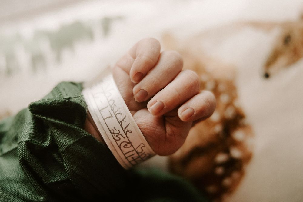 Close up shot of hands holding a rustic wooden spoon filled with fresh walnuts.