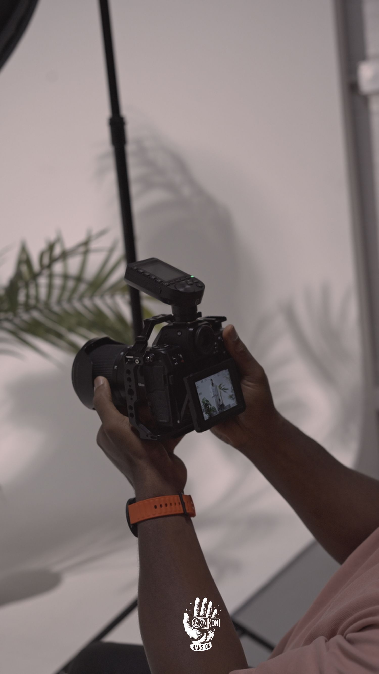 Hands holding professional camera with palm leaf shadows in background.