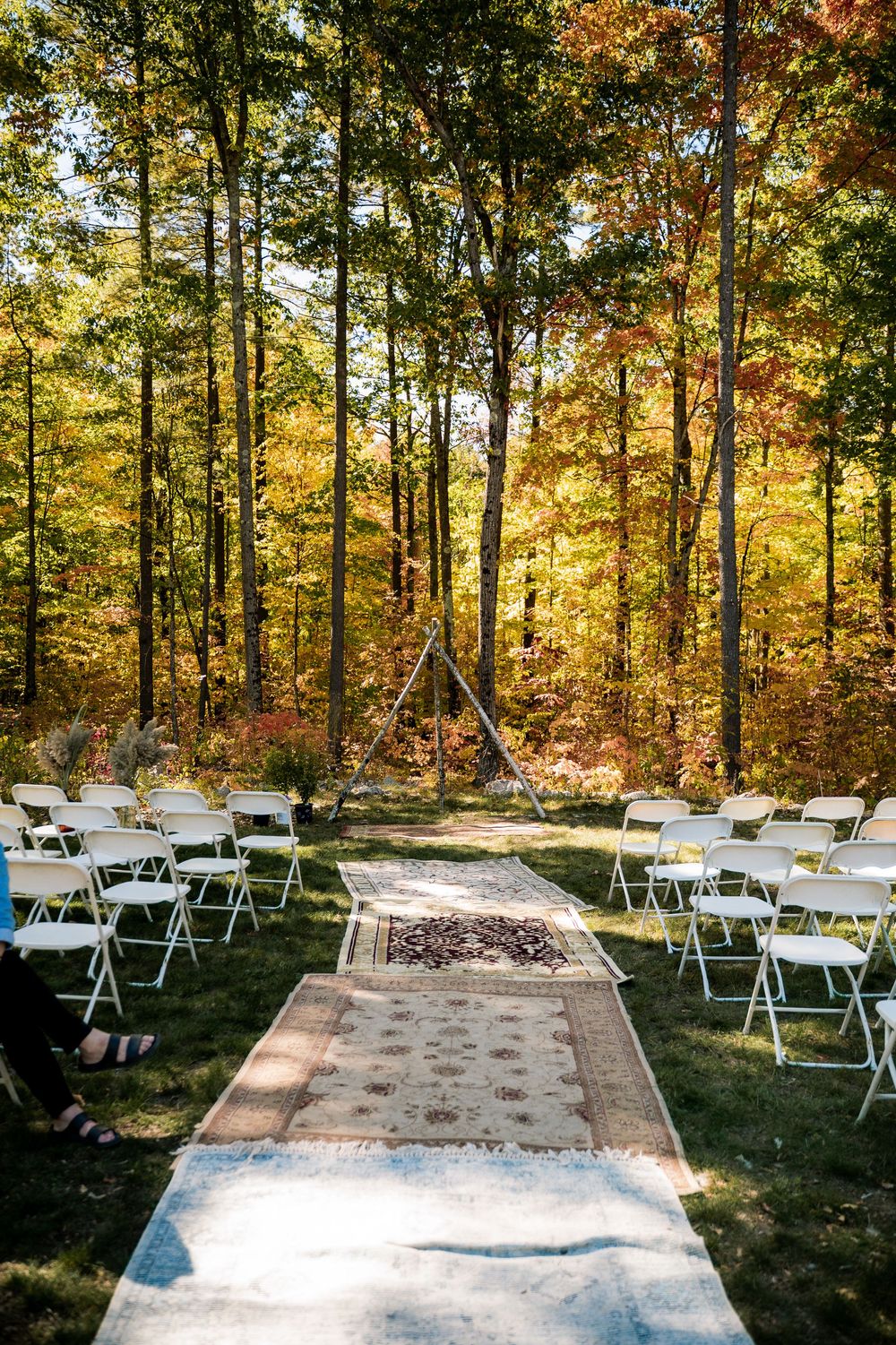 Outdoor wedding ceremony setup with white chairs and a carpet aisle surrounded by autumn trees in golden sunlight.