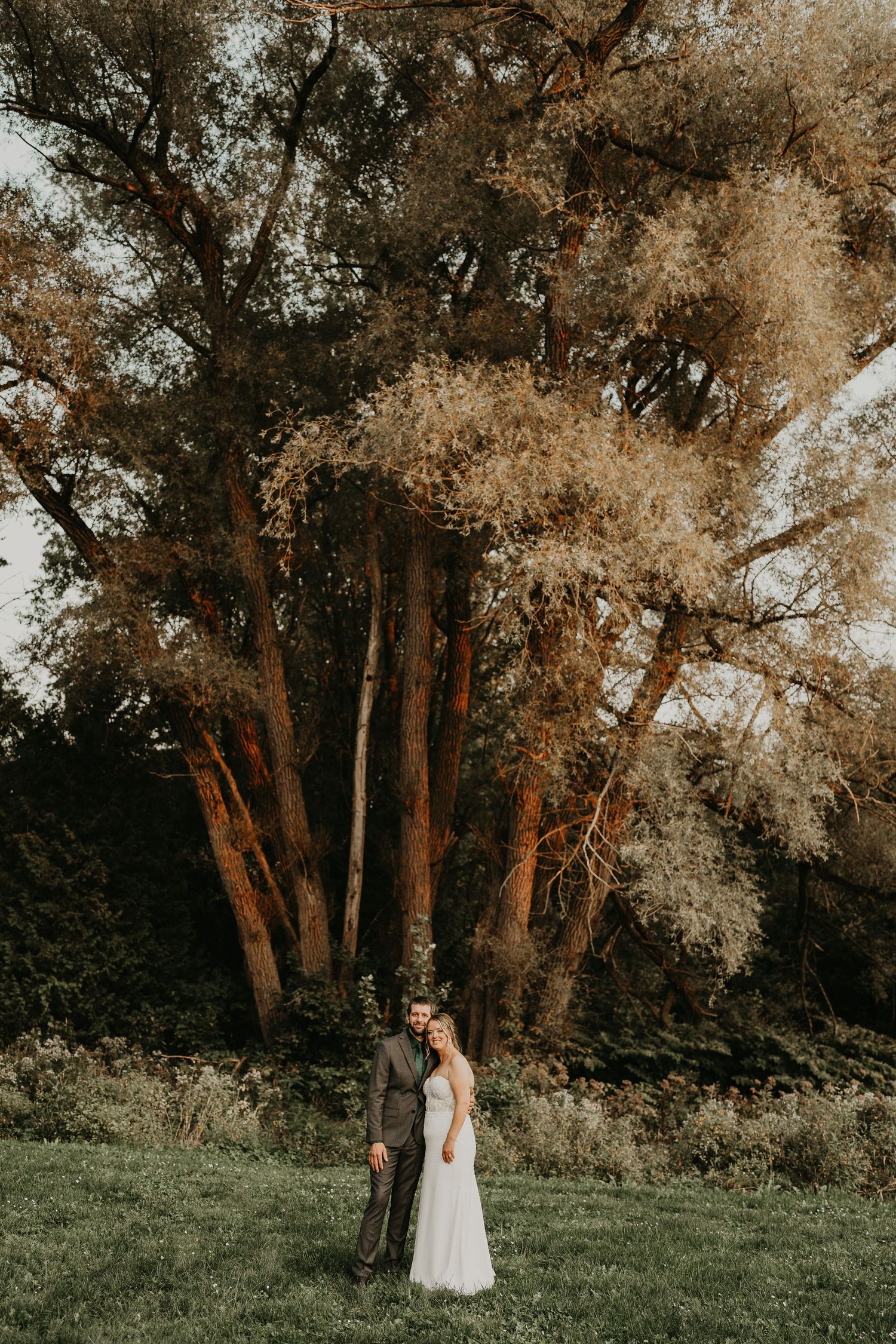 bride and groom look small under a huge many trunked tree