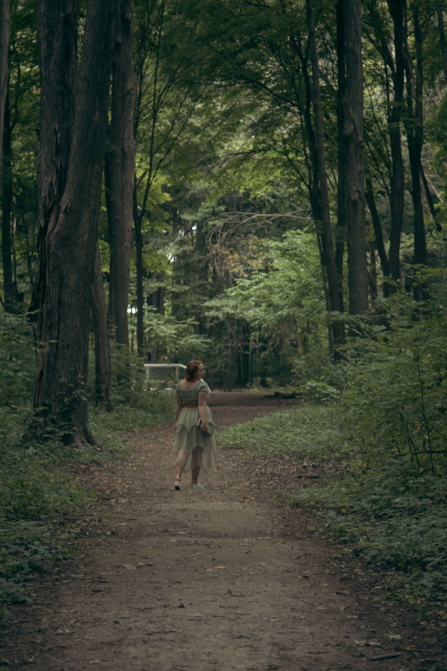 A solitary figure walks down a serene forest path surrounded by tall trees and lush green foliage.