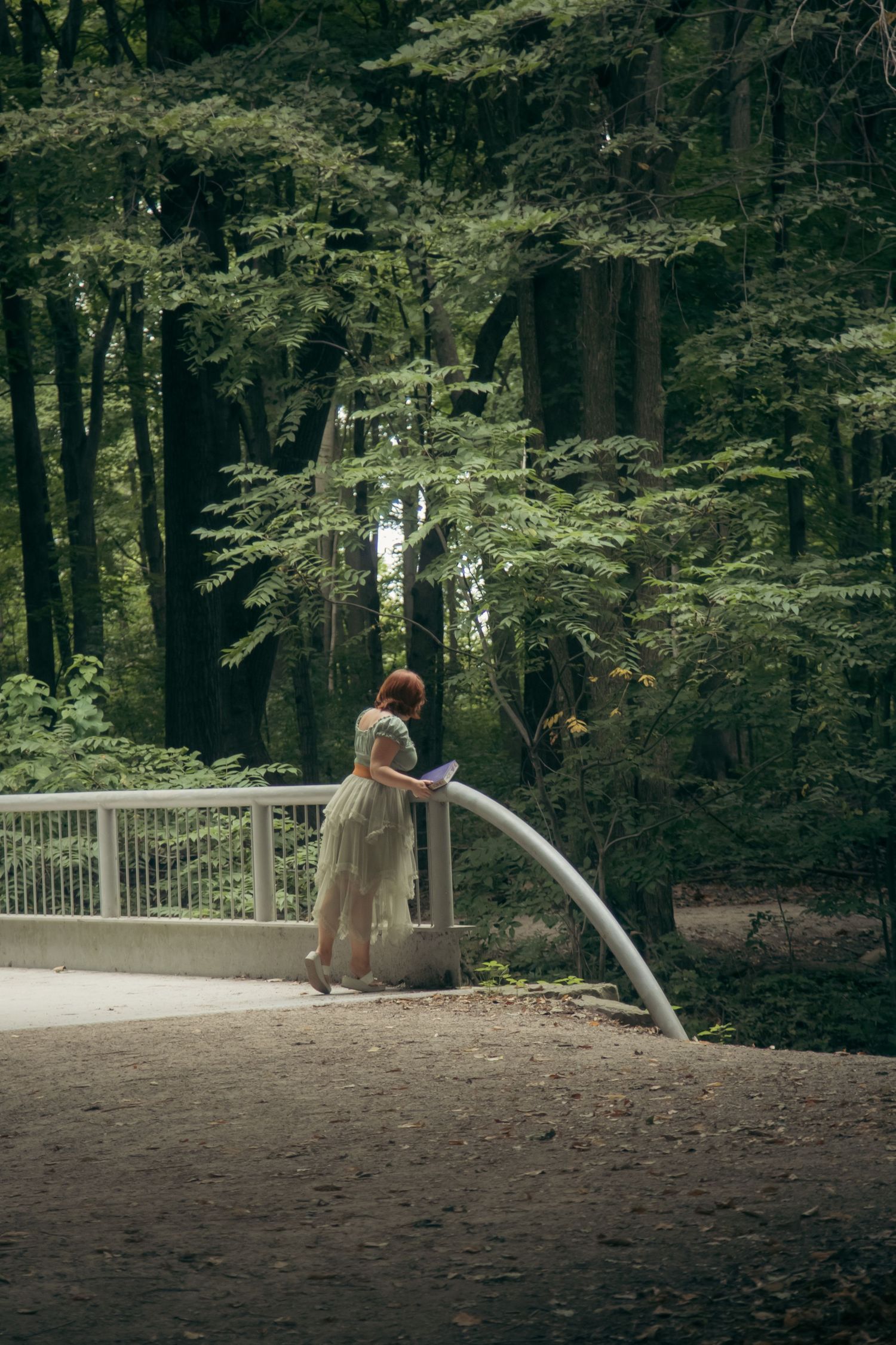 A sequence of photos shows a person sliding down a playground slide in a wooded park setting.