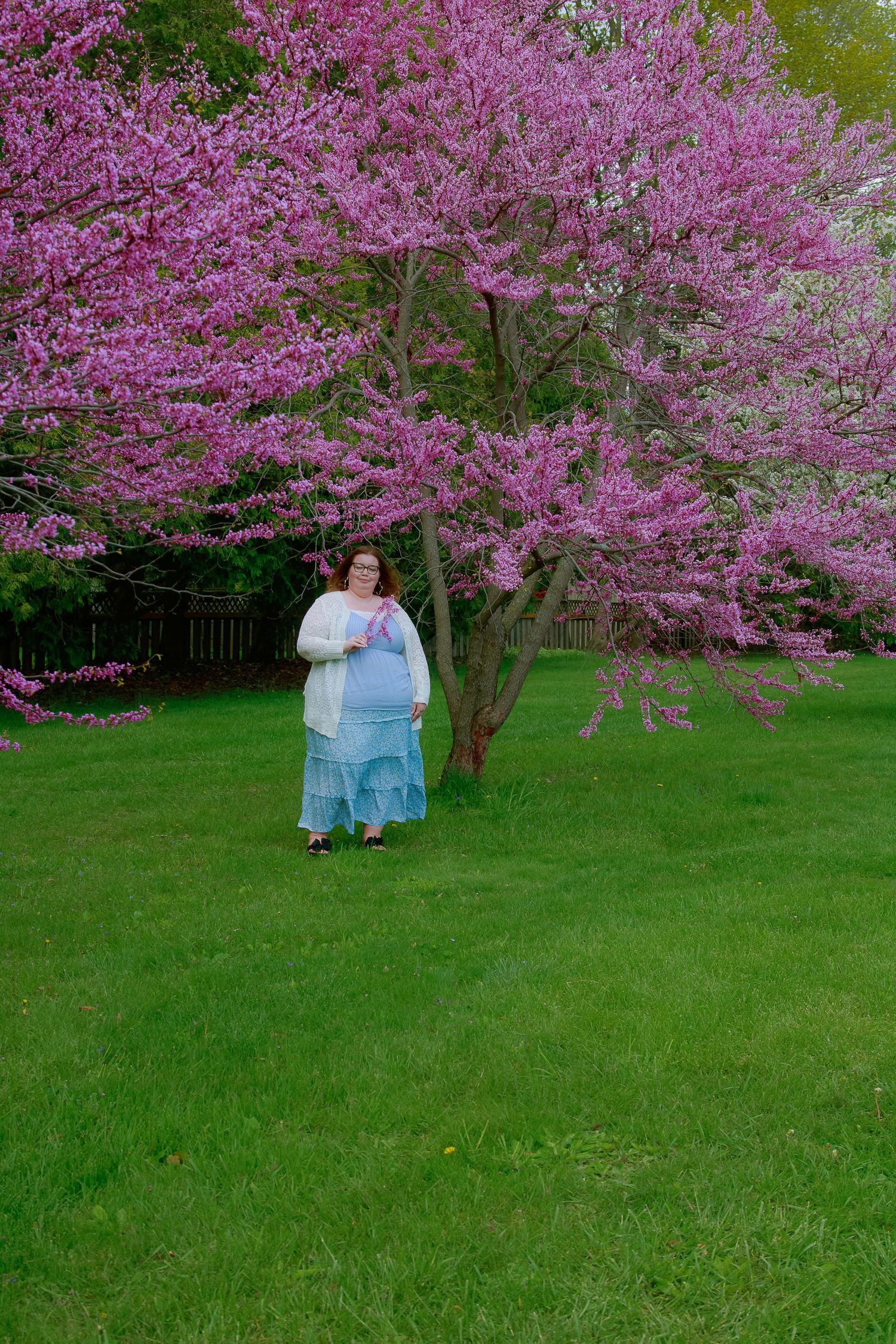 Pregnant woman in blue dress stands under blooming pink redbud tree on lush green lawn in spring.