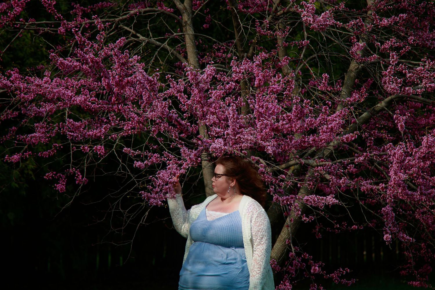 Woman in blue dress touching pink cherry blossom tree branches outdoors.