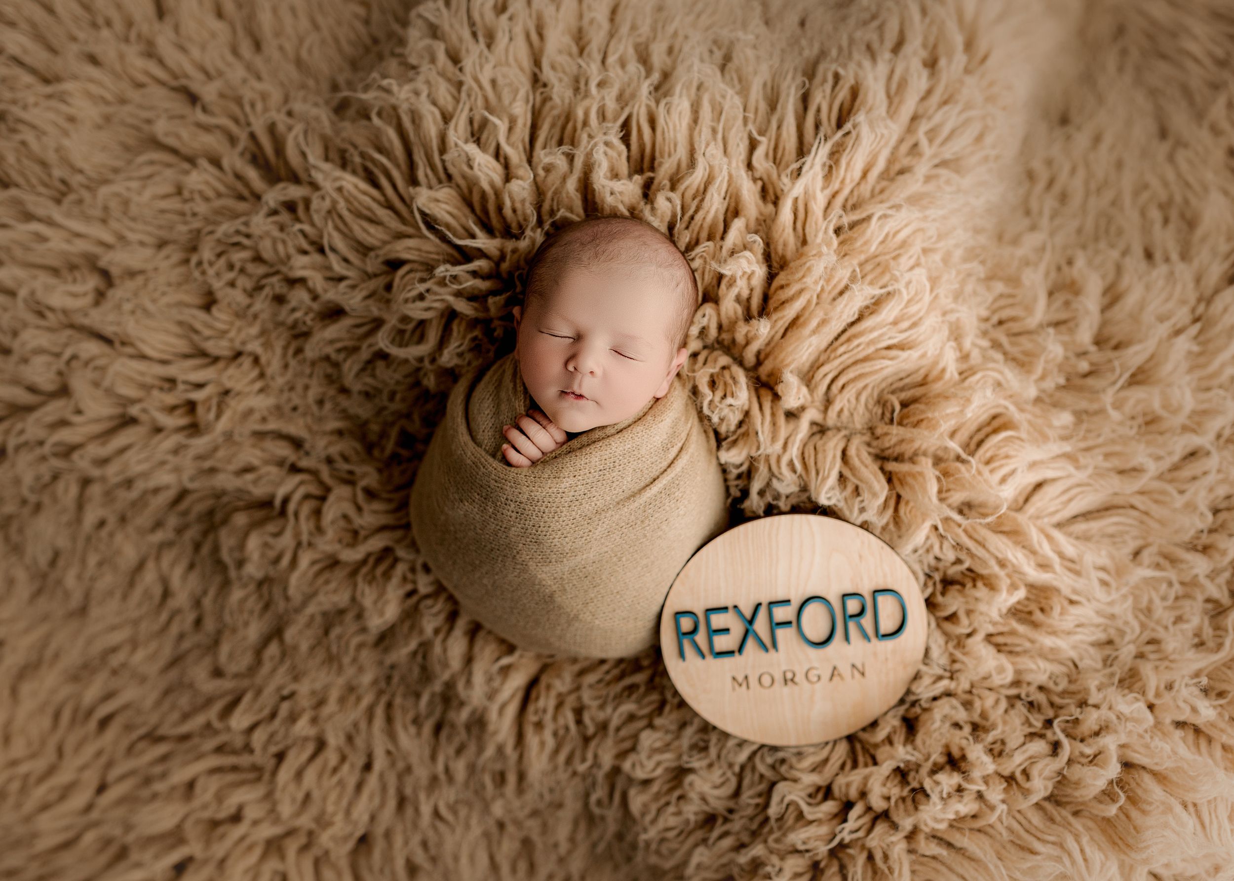 Bailey's Photography | Studio Newborn Portraits | Cream and Tan Color Palette