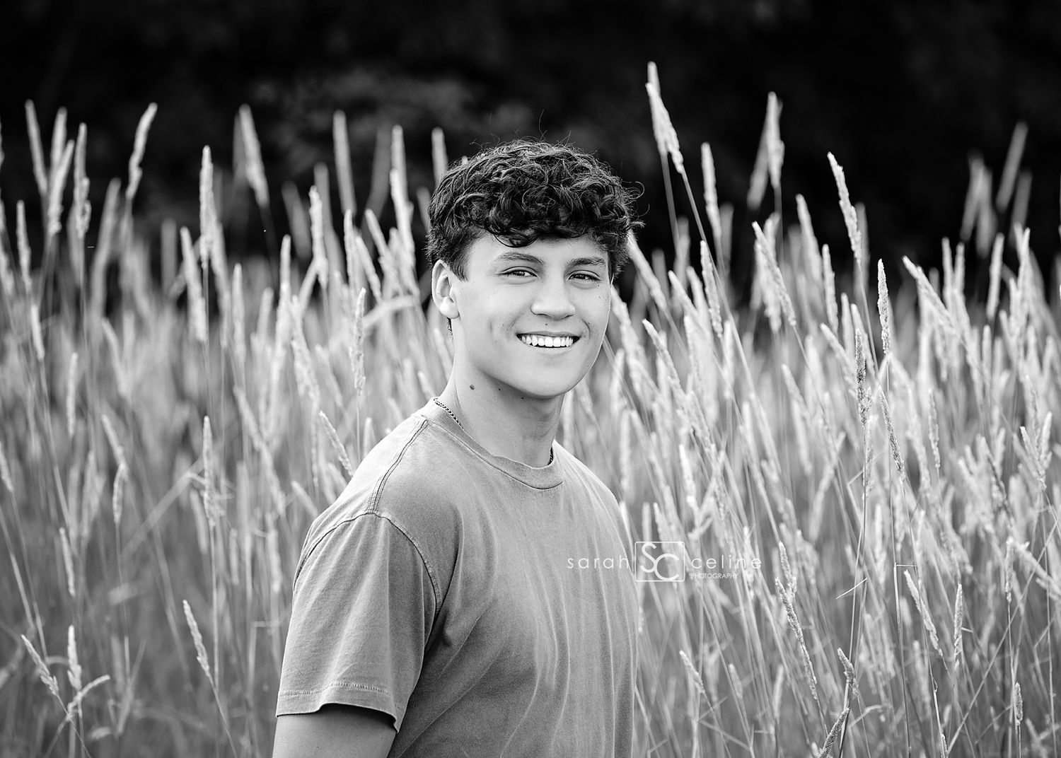 A series of outdoor portrait photographs captured in tall wheat fields with soft natural lighting and a blurred background.