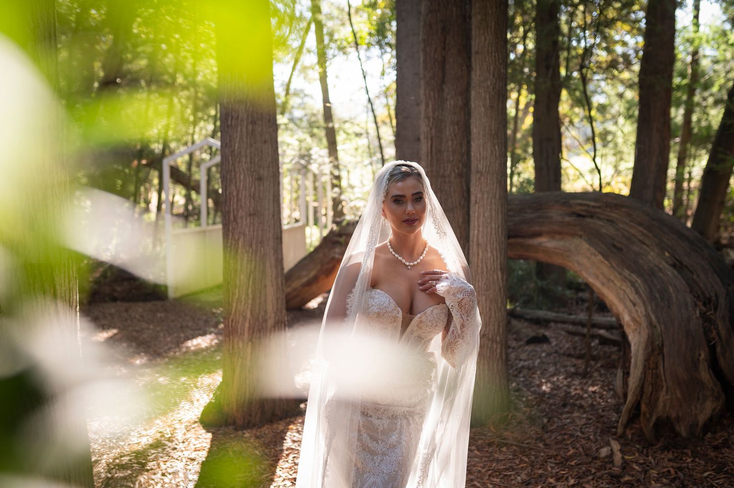 A bride in a flowing white wedding dress and veil stands on a curved forest path backlit by golden sunlight.