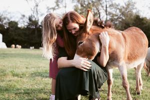 Candid family photo of a mom and daughter snuggling a farm animal outdoors