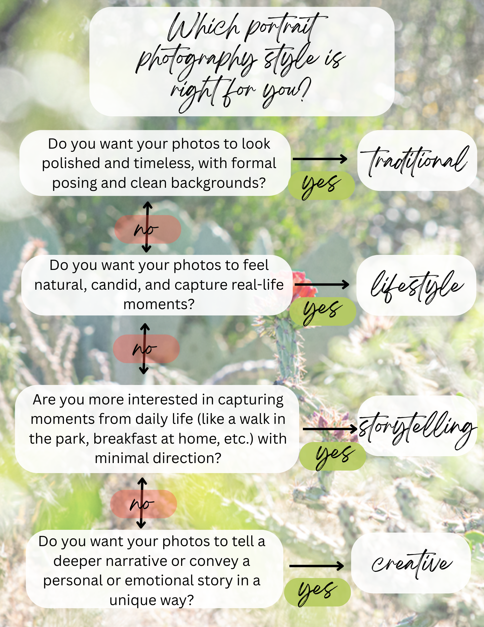 fun flow chart for which style of photography best fits your personality