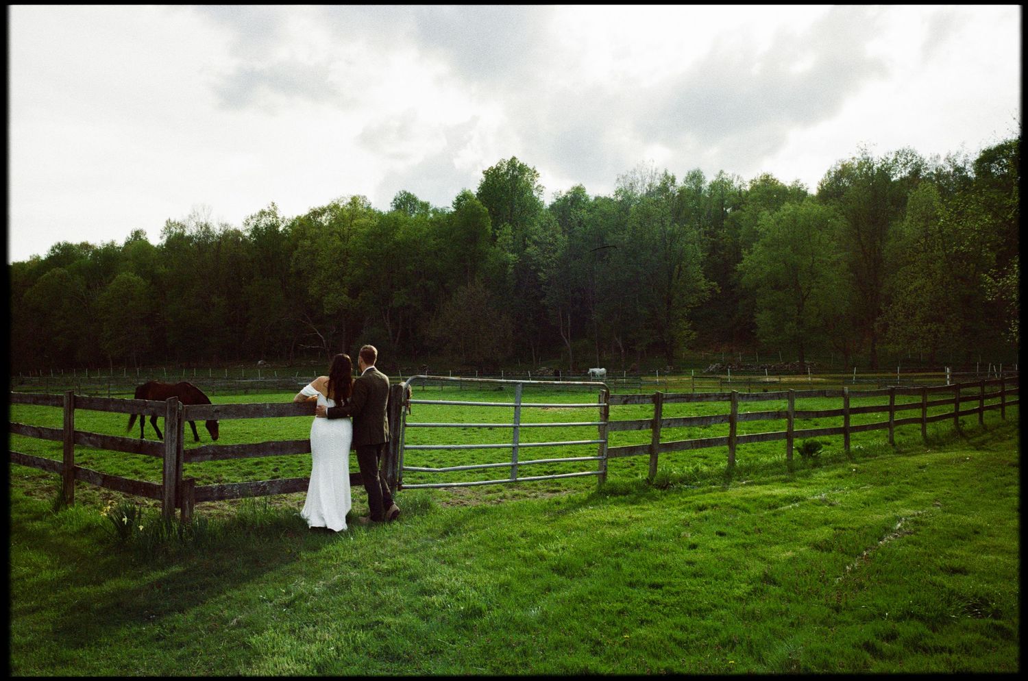 A couple in wedding attire stands by a wooden fence on a lush green lawn next to a horse farm.