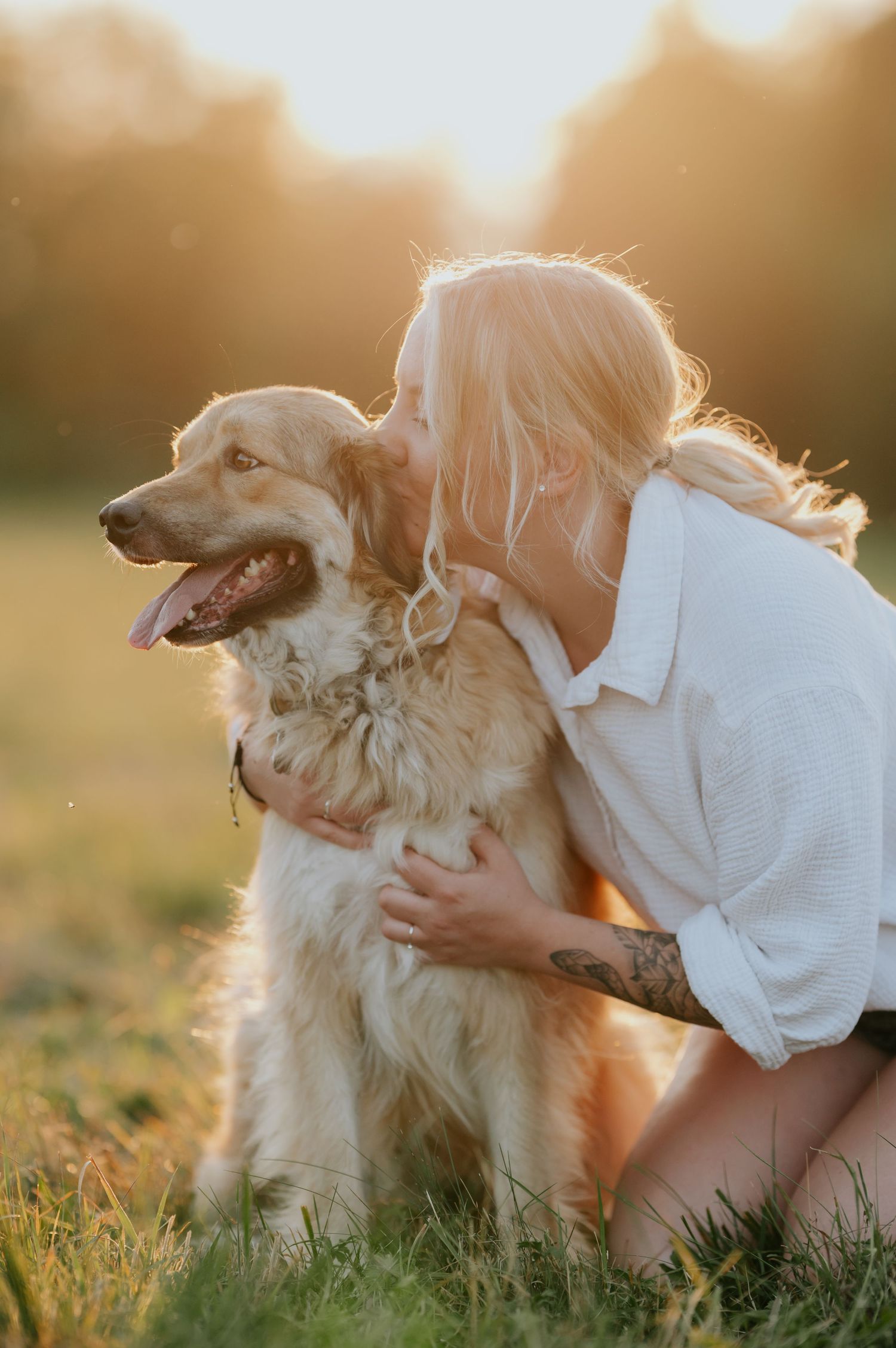 Goldene, sonnenbeschienene Szene, in der ein flauschiger weißer Hund im Gras gestreichelt wird.
