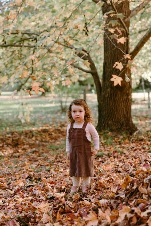 Small child in brown pinafore dress standing among fallen autumn leaves.