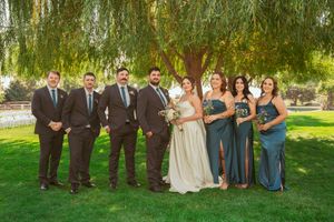 Wedding party posing on green lawn under a weeping willow tree during outdoor ceremony.