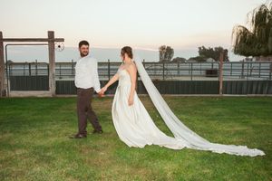 A wedding photoshoot sequence shows a retriever dog joyfully running after the train of a flowing white bridal gown.