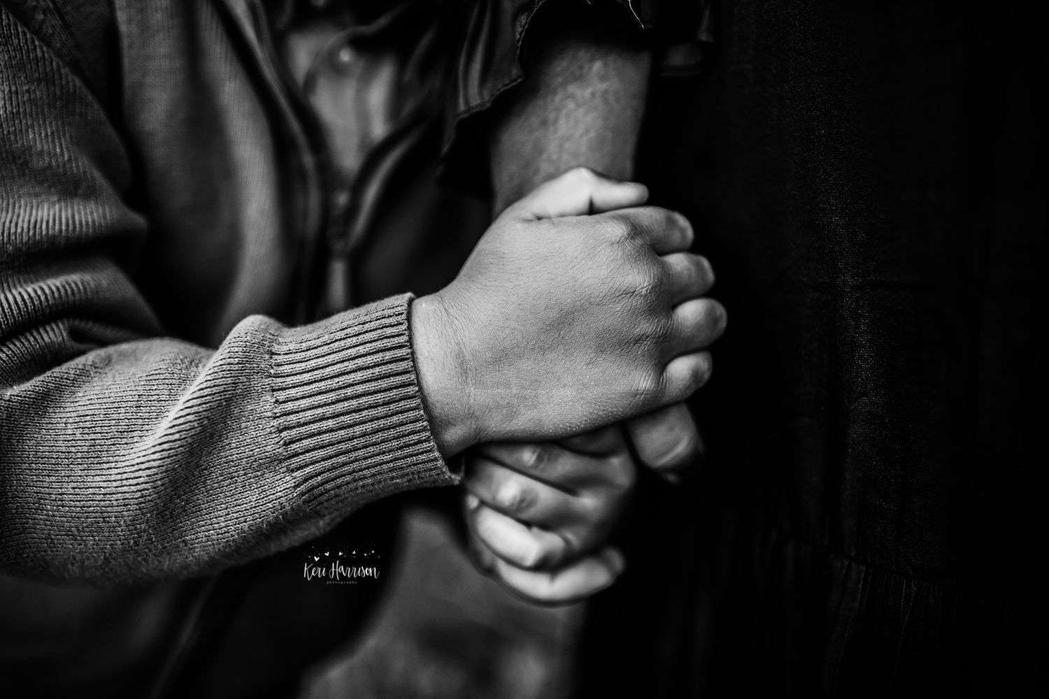 Metro Detroit Family Photographer