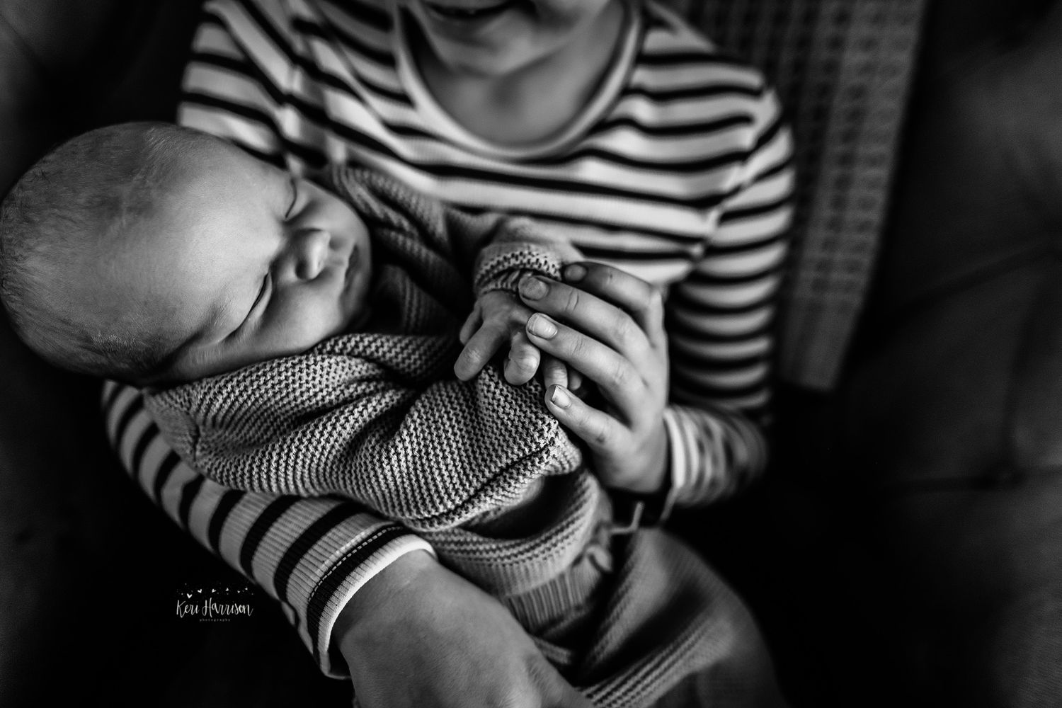 Ann Arbor Newborn Photographer