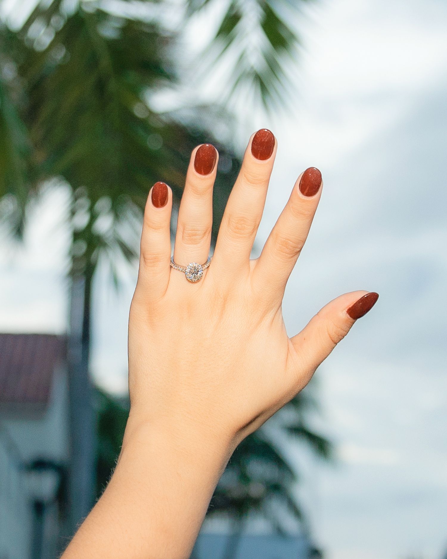 Blue Lens Media | Ottawa Wedding & Event