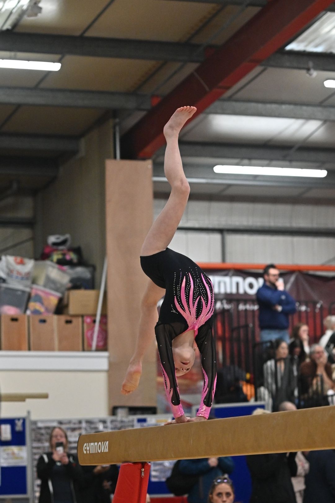 Young gymnast in pose - Sports