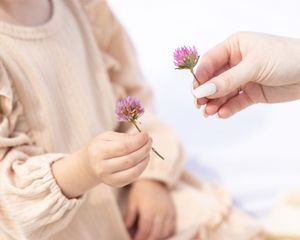 A hand holding small purple chive flowers extends toward another hand in a gentle, sharing moment.