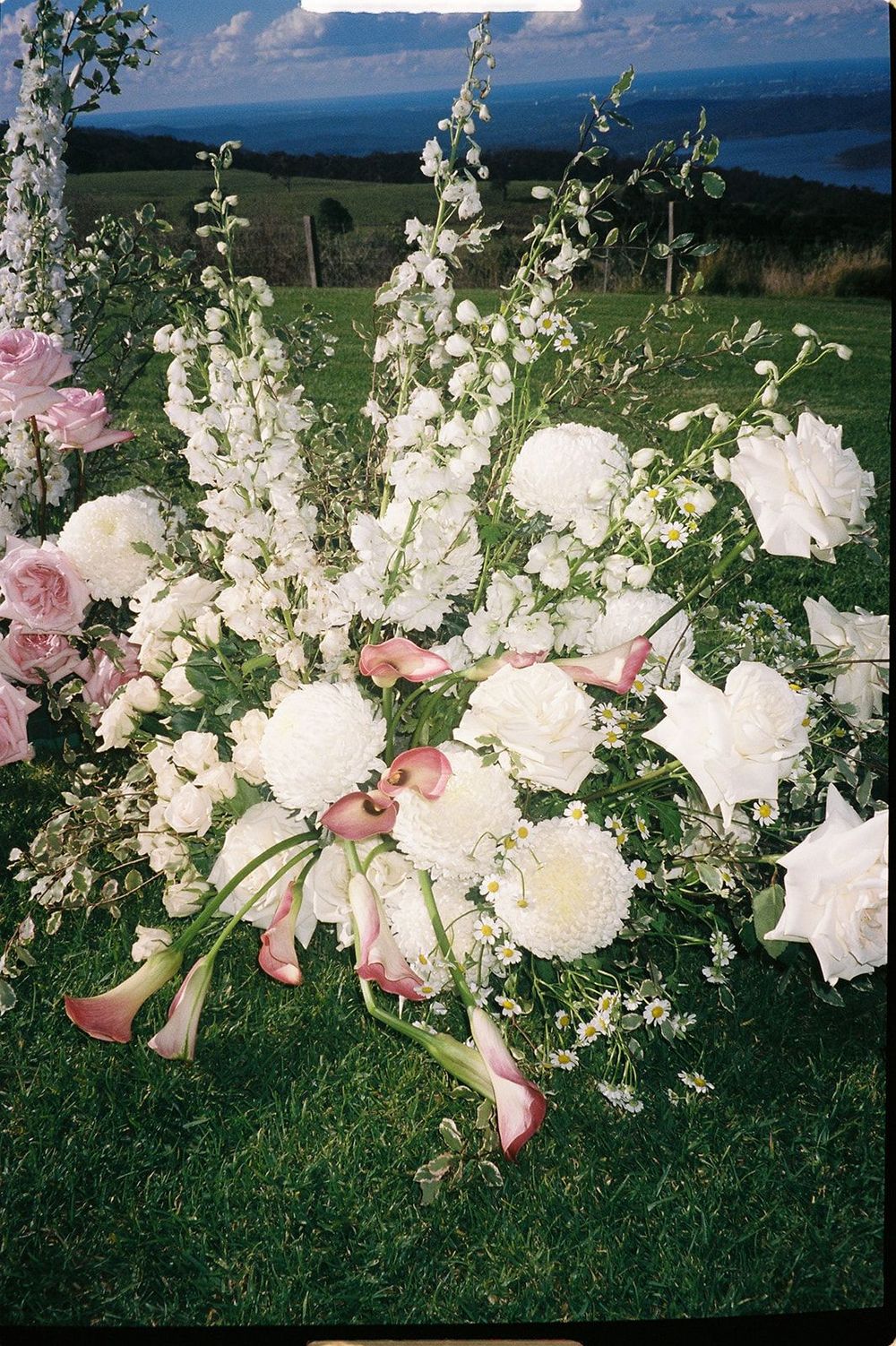 Pink and white floral arrangement with delphinium and peonies against an ocean view landscape.